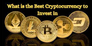 What is the Best Cryptocurrency to Invest in