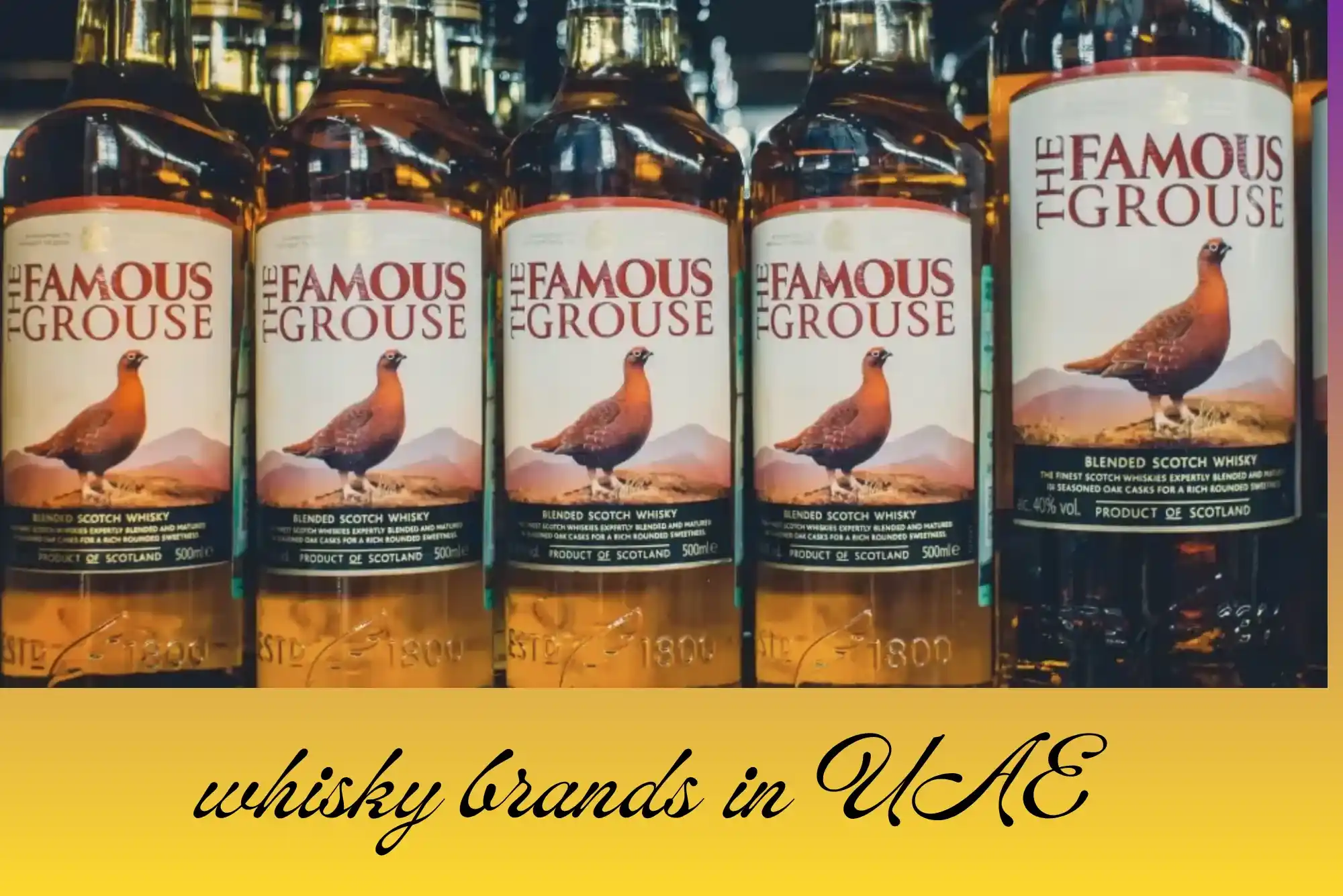 How-Trip-Creamy-helps-compare-whisky-brands-in-UAEHow-Trip-Creamy-helps-