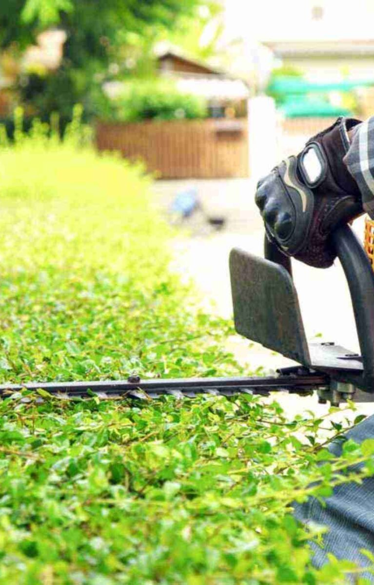 Lawn Services in Omaha, NE